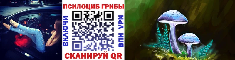Галлюциногенные грибы MAGIC MUSHROOMS  Королёв 
