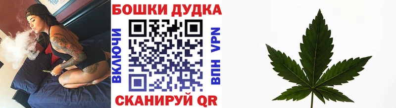 Шишки марихуана планчик  Королёв 
